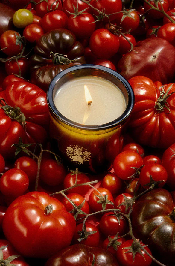 CANDLE BY FLAMINGO ESTATE - Image 3